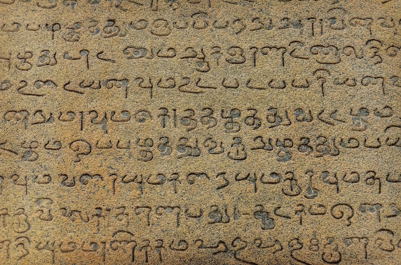 印度語言:探索印地語及其他語言