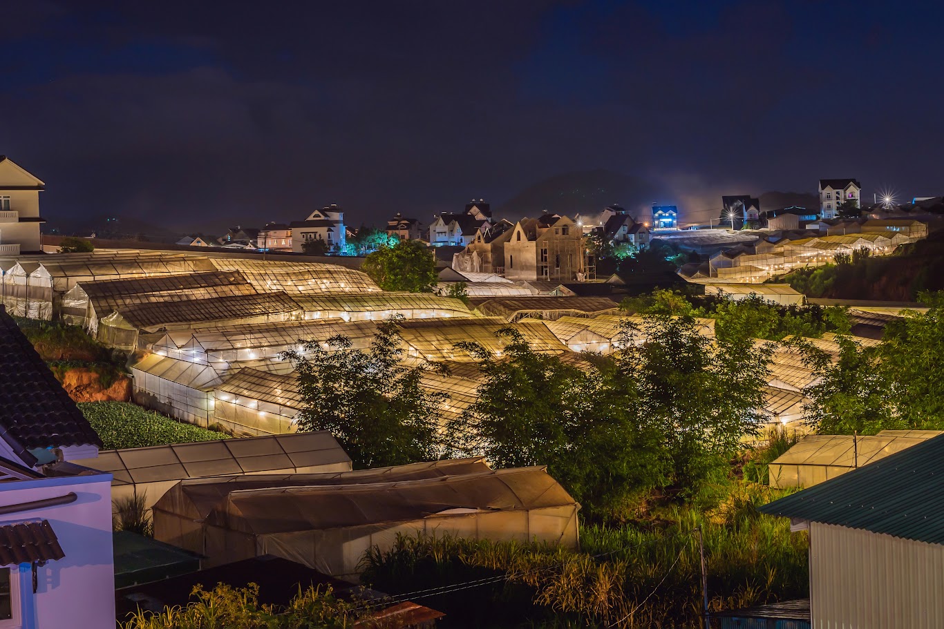 Da Lat becomes even more dazzling at night