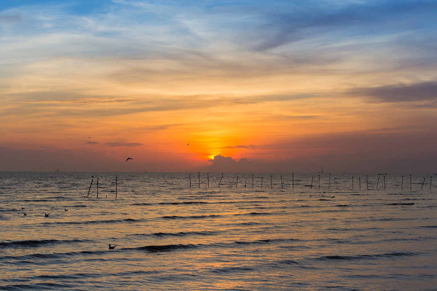 Du lịch biển Bạc Liêu mùa cao điểm cần lưu ý gì?