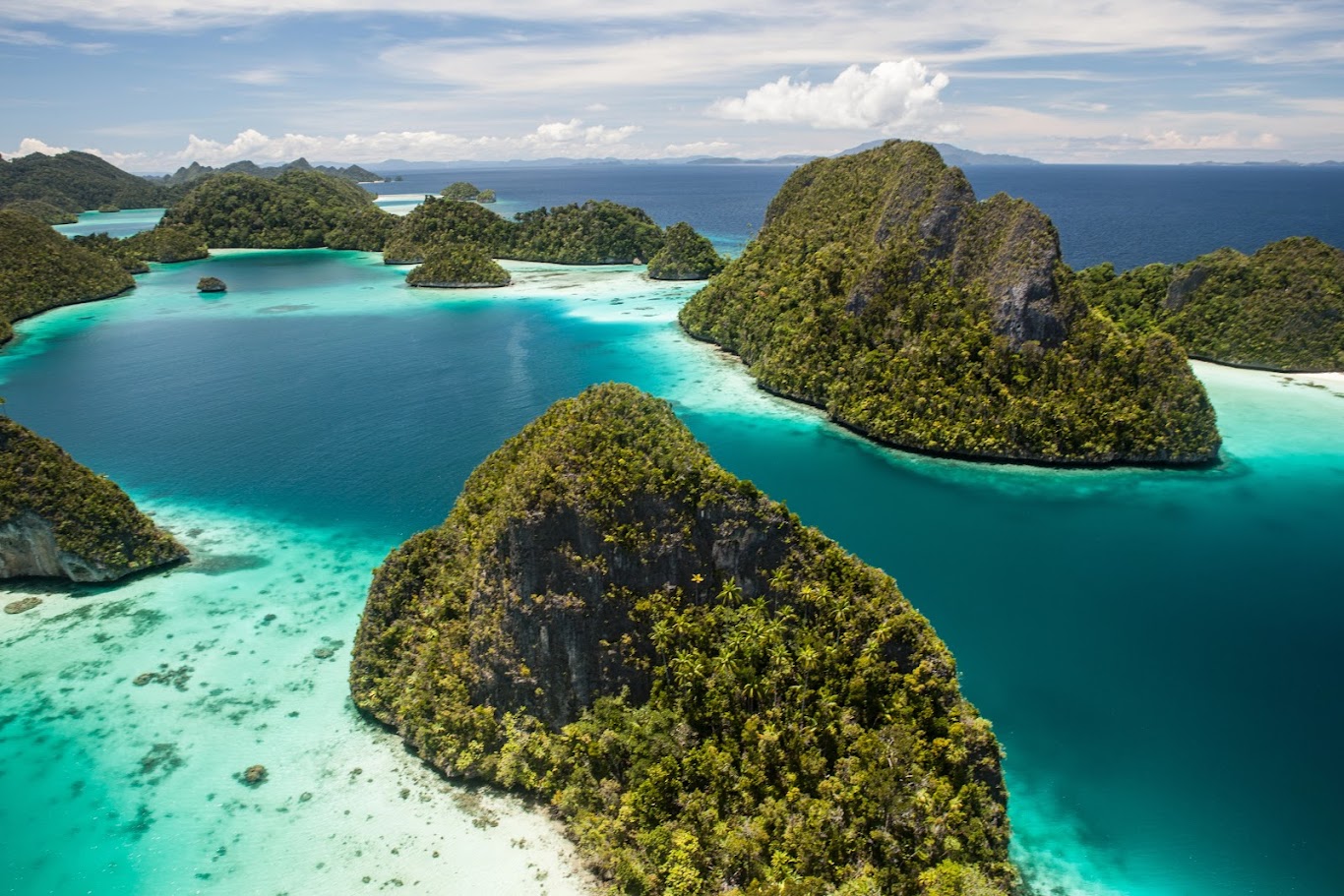 Diving in Raja Ampat – A paradise of corals and marine life