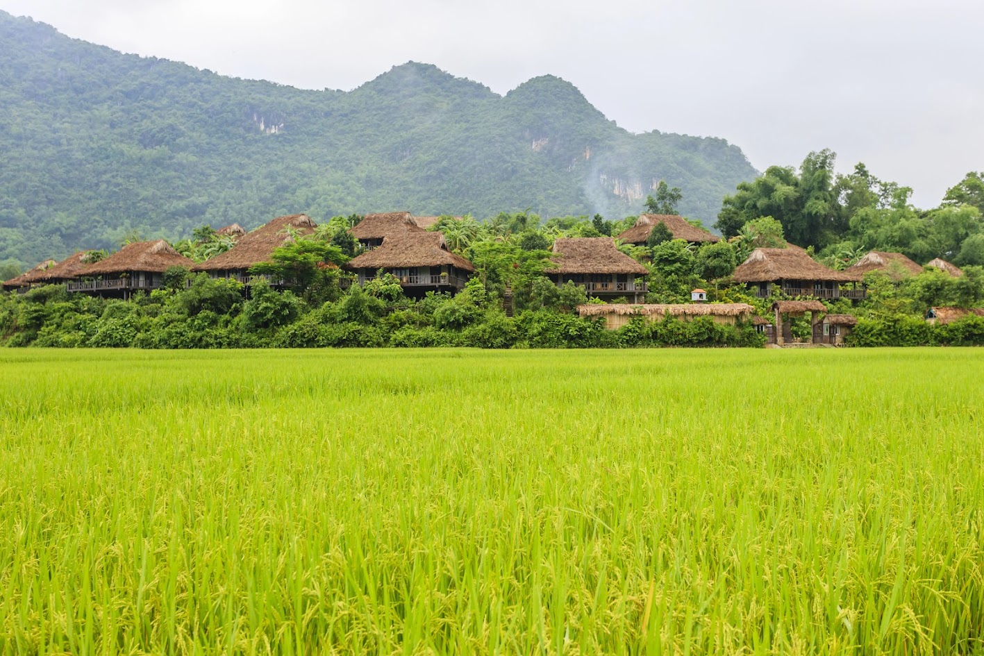 Mai Chau travel experience 2 days 1 night self-sufficient