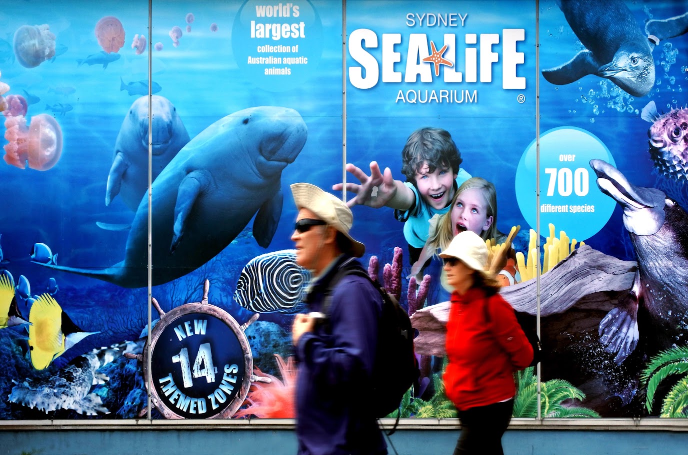 Sea Life Aquarium Sydney – 詳細資訊與票價