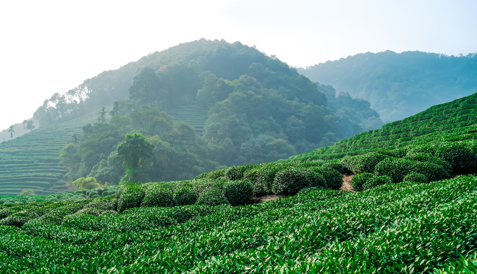 What’s beautiful about traveling to Hangzhou? Transportation tips for getting around China