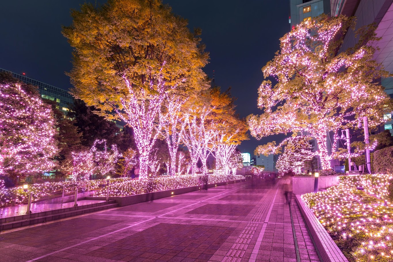 日本のクリスマスシーズンのイルミネーションフェスティバル。