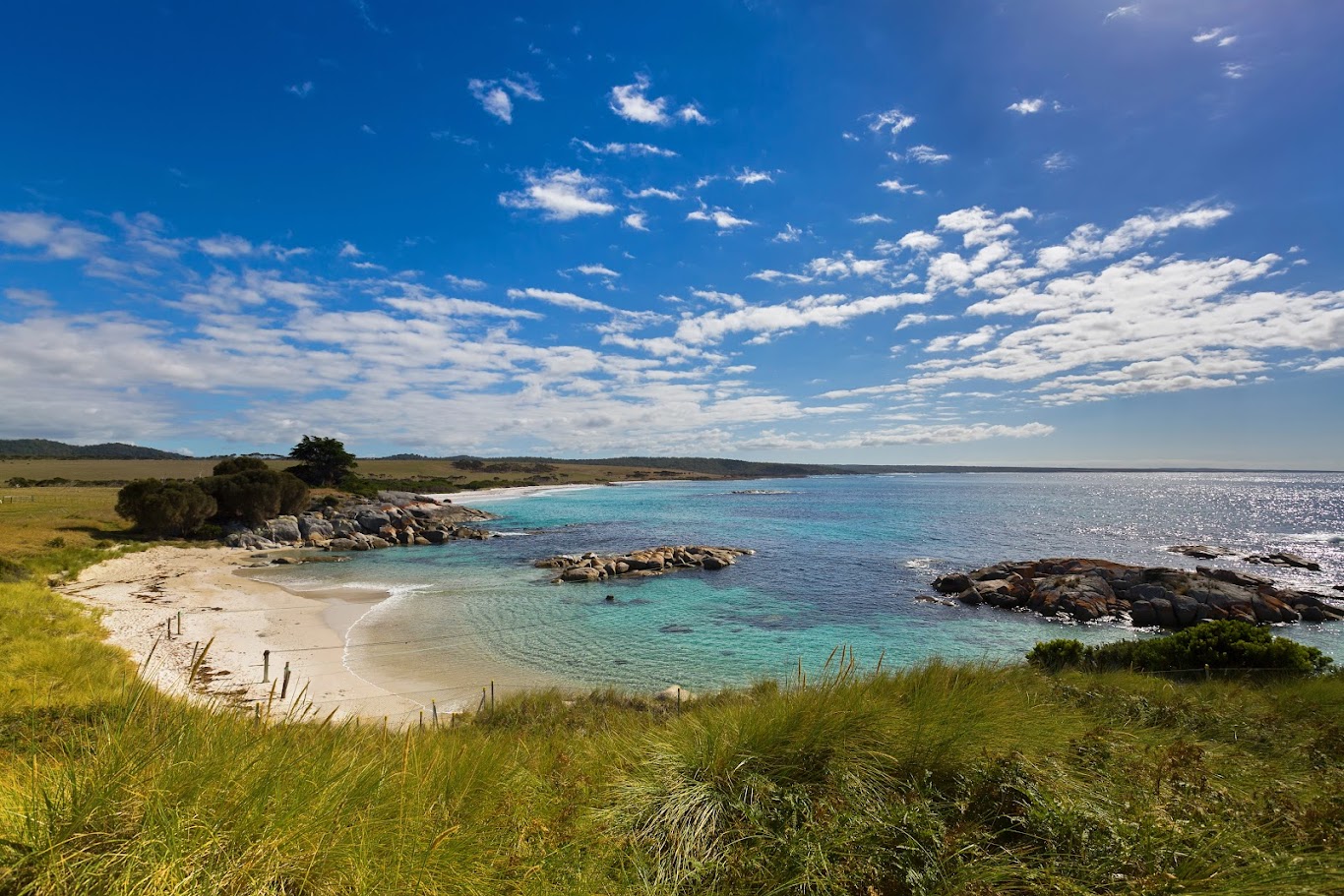 タスマニア島探訪の旅 － オーストラリアの楽園 | Vietjet Air