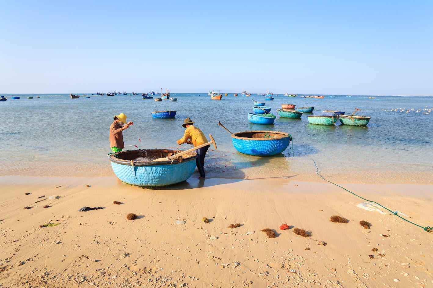 Cảng cá Mỹ Tân Ninh Thuận - Cảnh họp chợ lúc mặt trời mọc