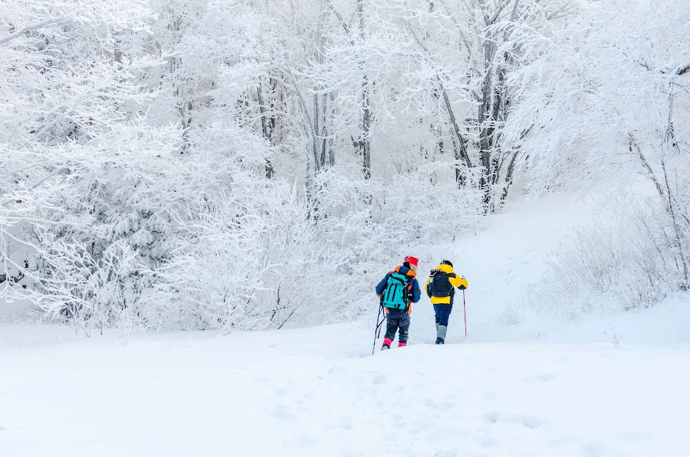 适合家庭的理想冬季旅游地点