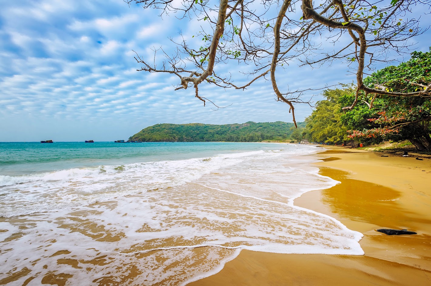 世界が選ぶベトナムの最も美しいビーチ