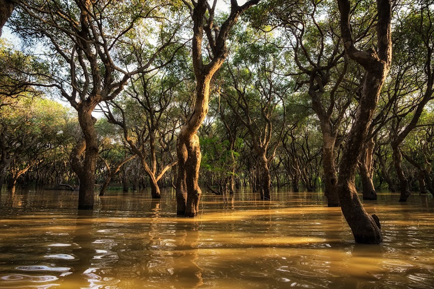 Tonlé Sap: Experience the Great Lake of Cambodia