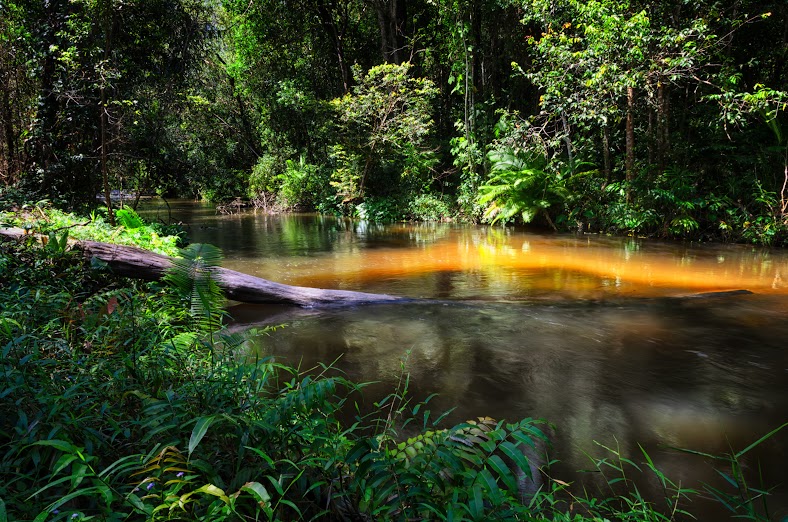 River of a Thousand Lingas