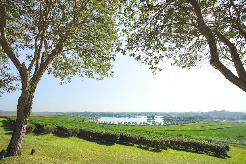 清莱泰国自由行经验:住哪里?吃什么?