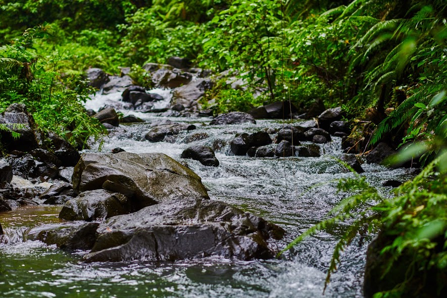 Suoi Mooc - Hang Toi 旅遊區(Quang Binh)有什麼好玩的?