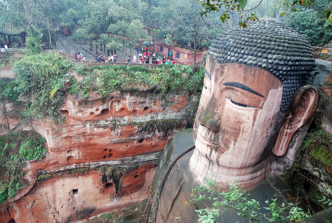 top banner