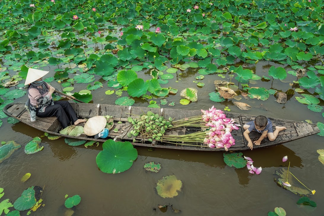 What&rsquo;s special about traveling to Dong Thap? Which places are famous?