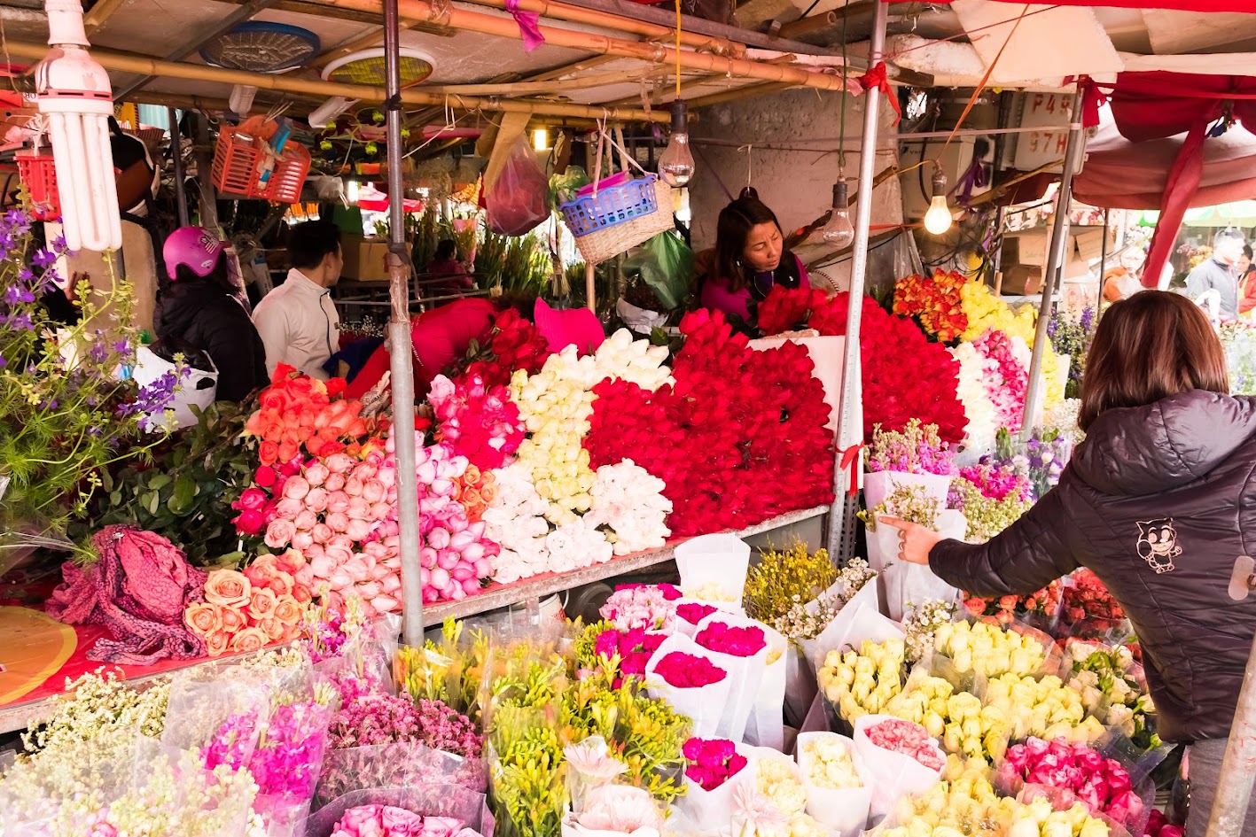 河内-海防春节花市精彩纷呈,吸引人潮