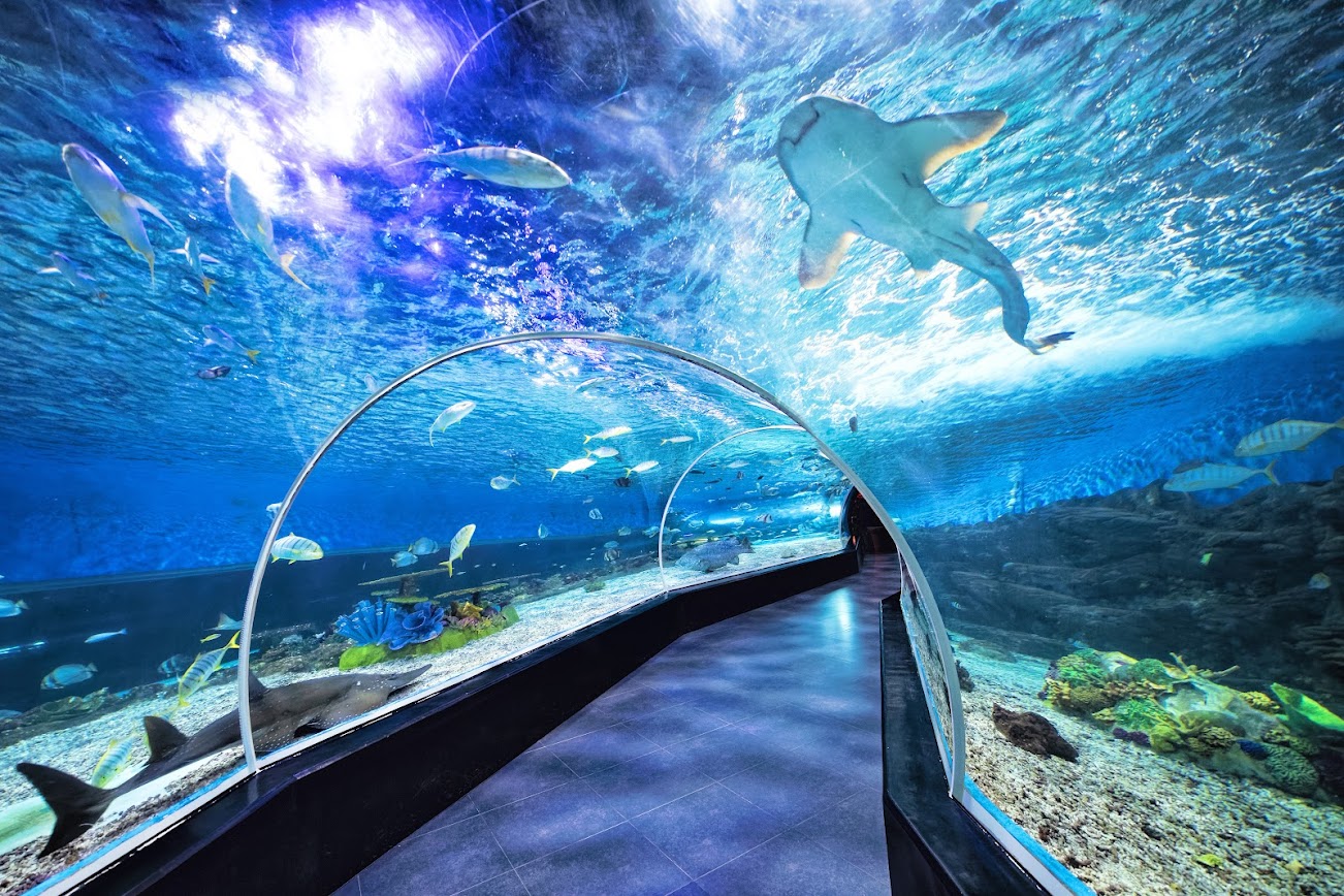 Top tourist attractions in Manila that Vietnamese travelers shouldn’t miss