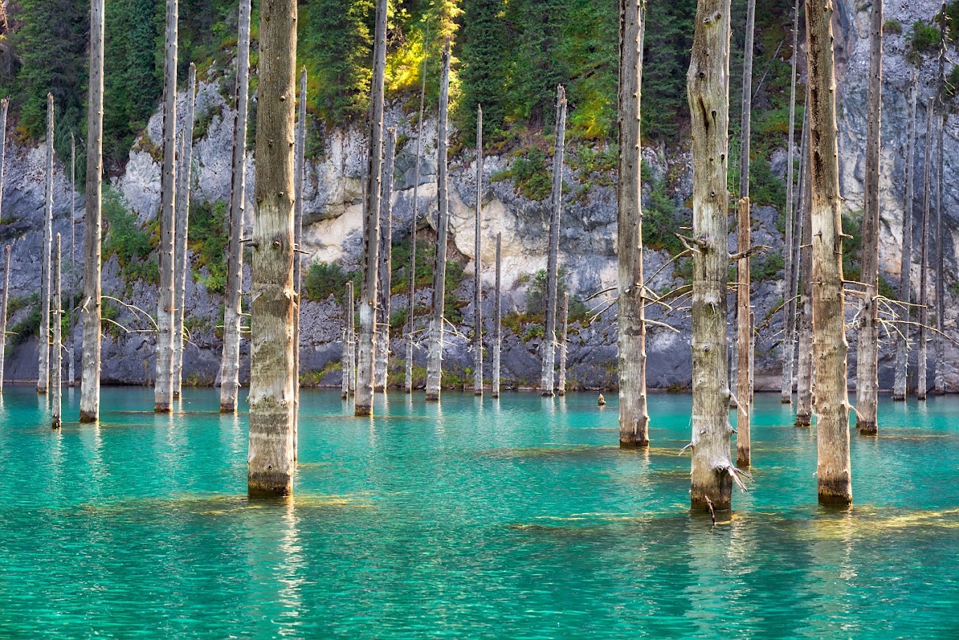 Kaindy Lake A Mysterious Submerged Forest Lake In Kazakhstan kaindy-lake-a-mysterious-submerged-forest-lake-in-kazakhstan