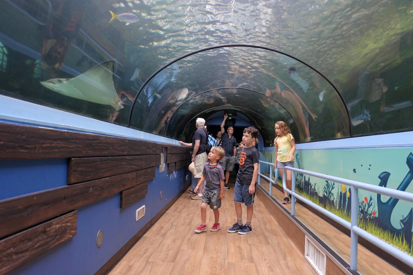 Sea Life Aquarium Sydney – 詳細資訊與票價
