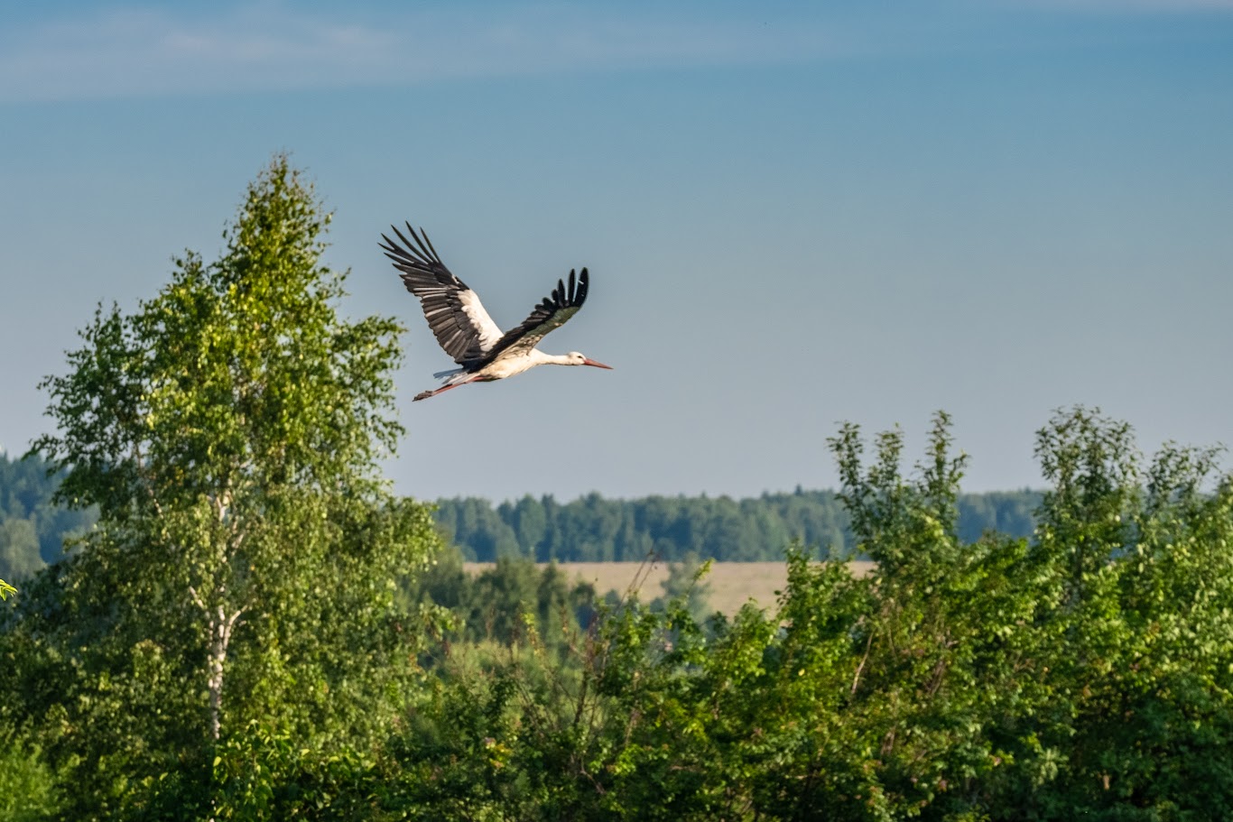 Ecotourism destinations in Can Tho you can’t miss