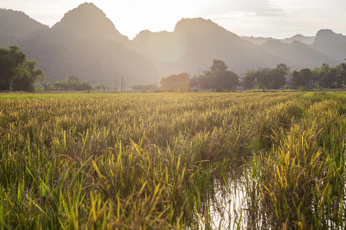 Kinh nghiệm du lịch Tam Cốc Bích Động
