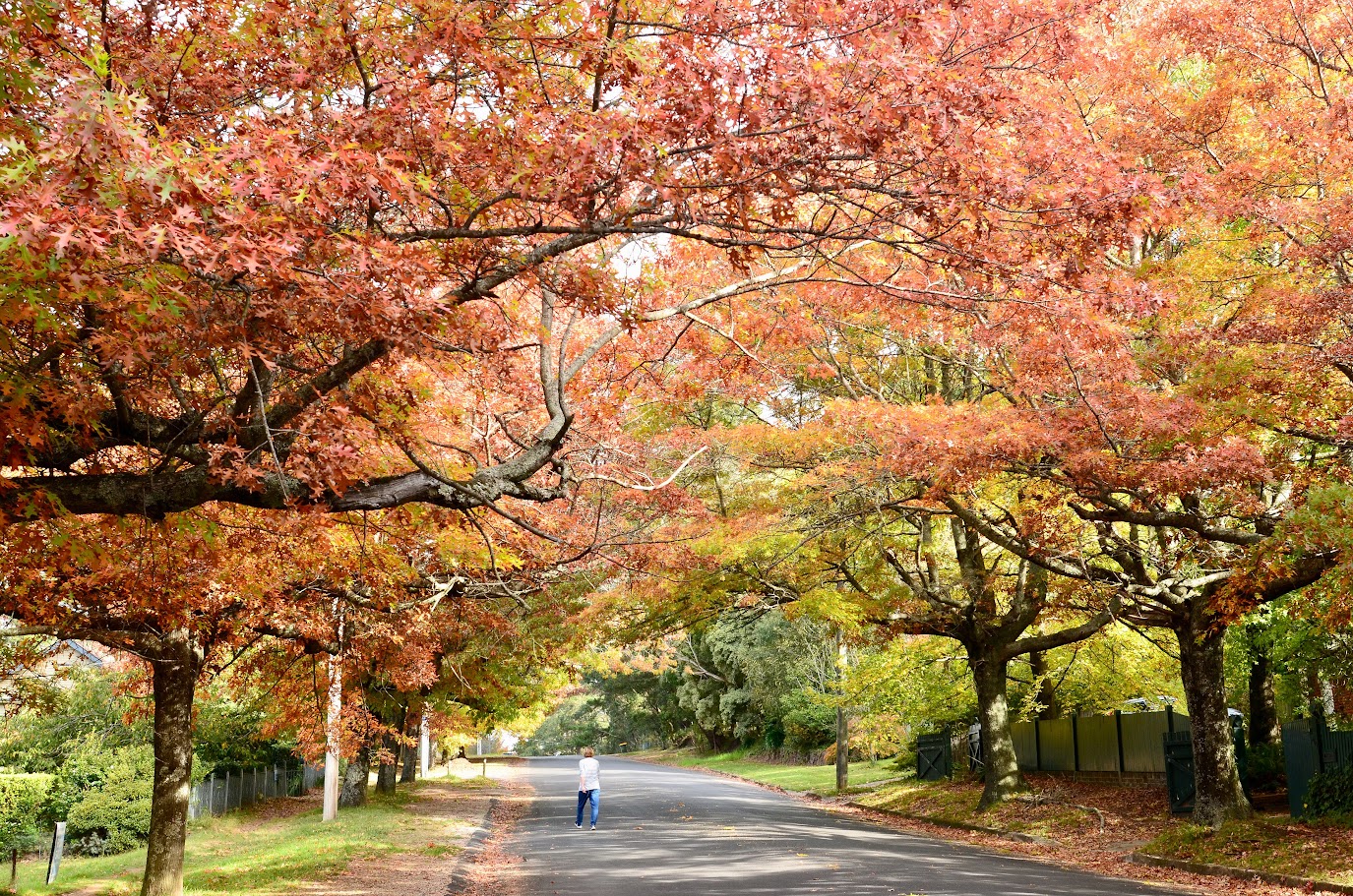Best Places to Travel in May – Where to Go and Which Countries to Visit