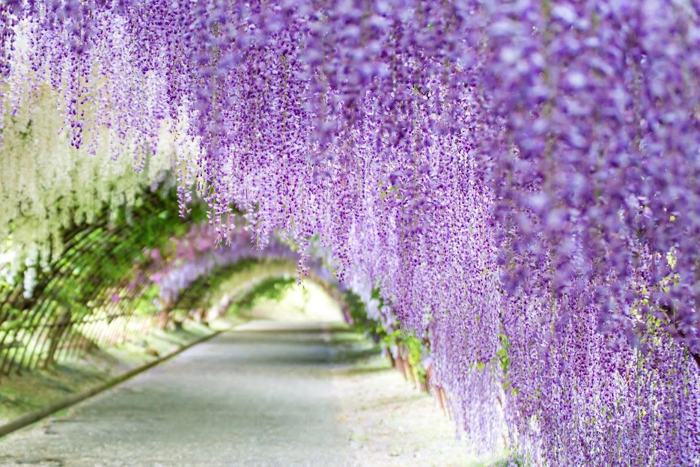 Travel destinations in May - Where to go, which country