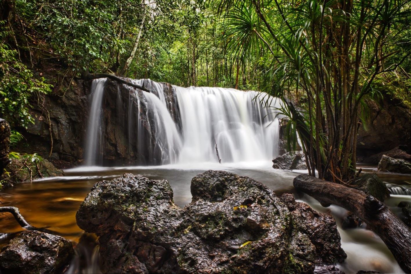 Nature Travel Experience for a Fresh Start to the New Year