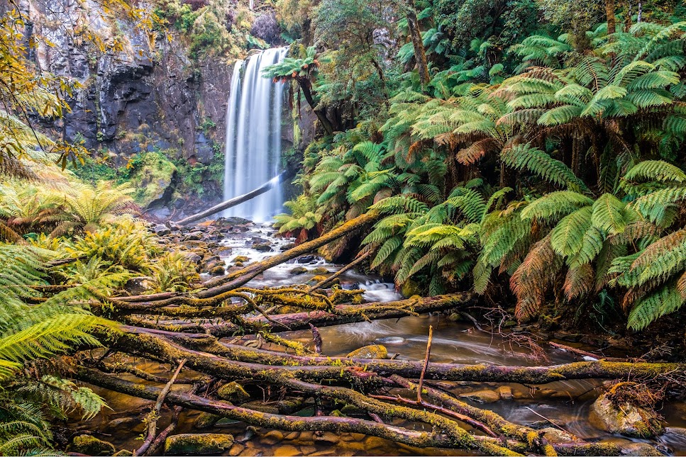 Top Experiences on the Great Ocean Road, Victoria