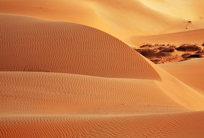 探索美奈红沙丘的体验