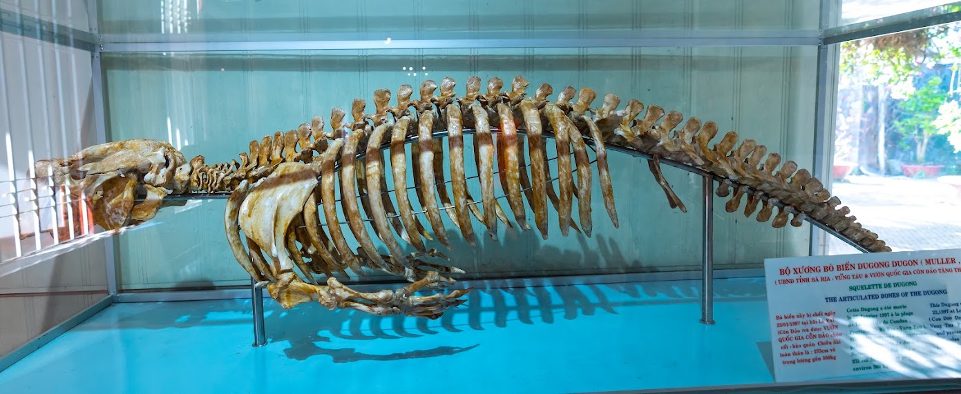 What’s Exciting About Visiting the Nha Trang Oceanographic Institute?