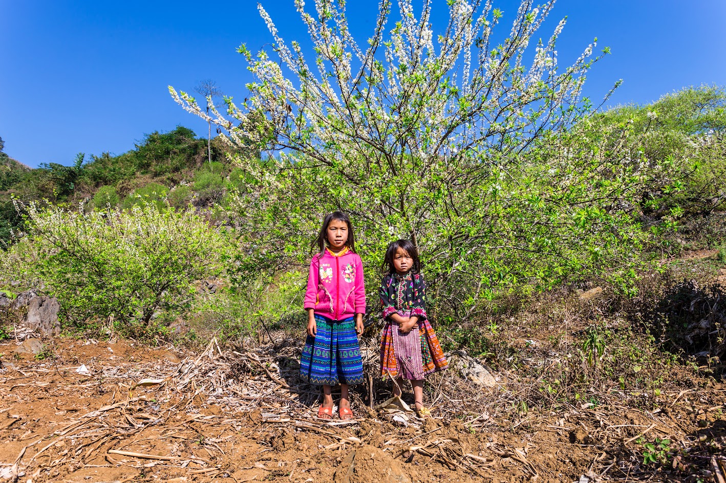 木州帕龙峰:前往方法与登山经验