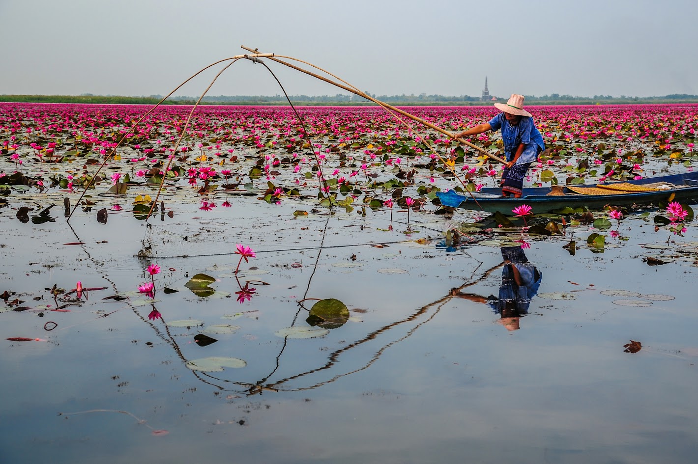 What&rsquo;s special about traveling to Dong Thap? Which places are famous?