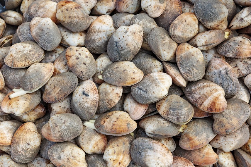 What Specialties Should You Not Miss at Bai Chay Night Market in Ha Long?