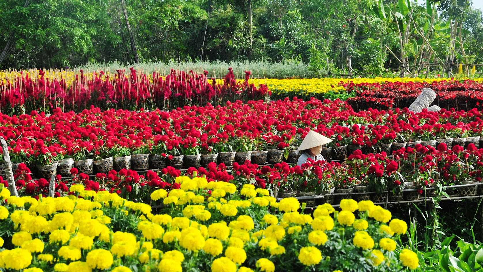 What&rsquo;s special about traveling to Dong Thap? Which places are famous?