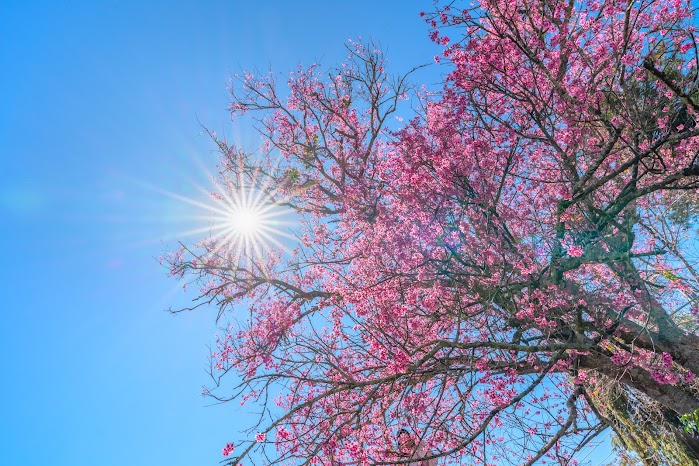 หมู่บ้าน คลอง กลันห์ - ค้นพบความงามของหมู่บ้านชาวคอหอ