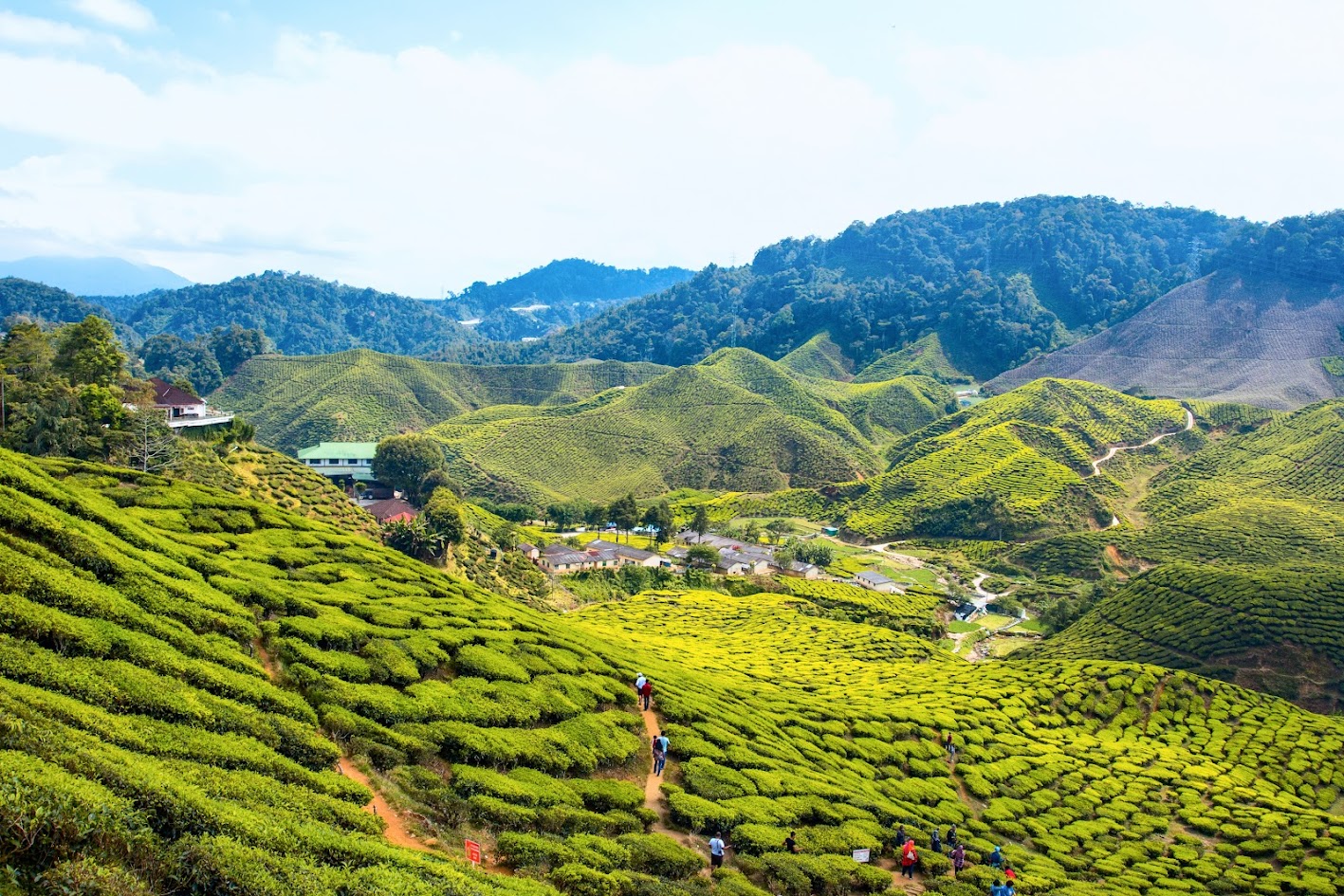 アジアの避暑地トップ5