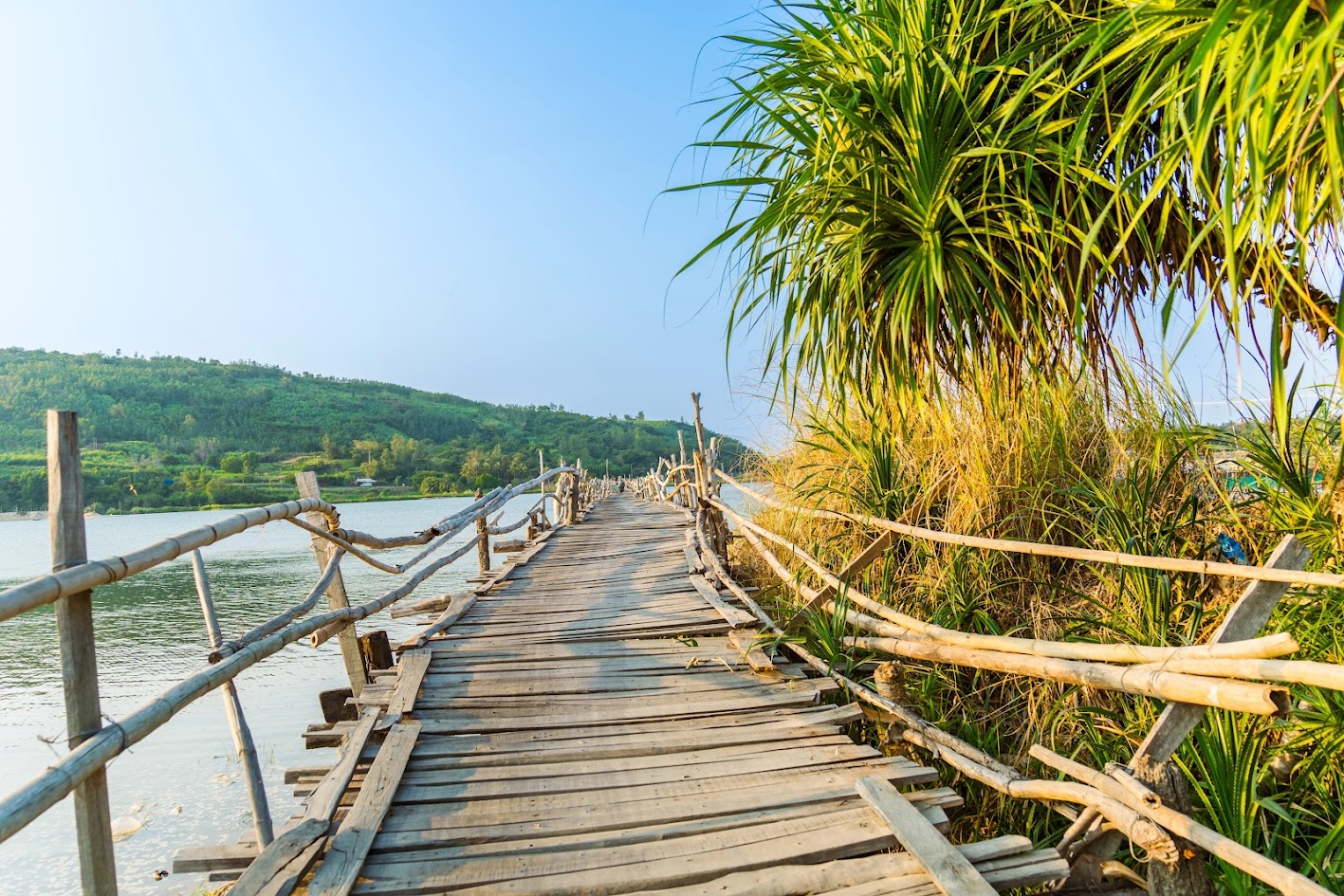 Mr. Cop Wooden Bridge – The Most Picturesque Natural Spot in Phu Yen