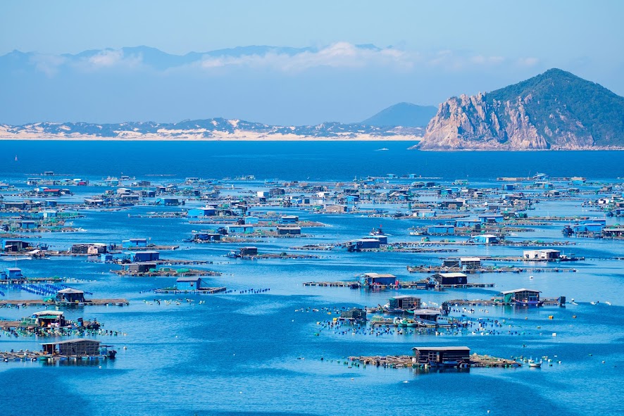ฮอนจัว &ndash; สถานที่ท่องเที่ยวที่ดีที่สุดในการชมเม่นทะเลและปะการัง