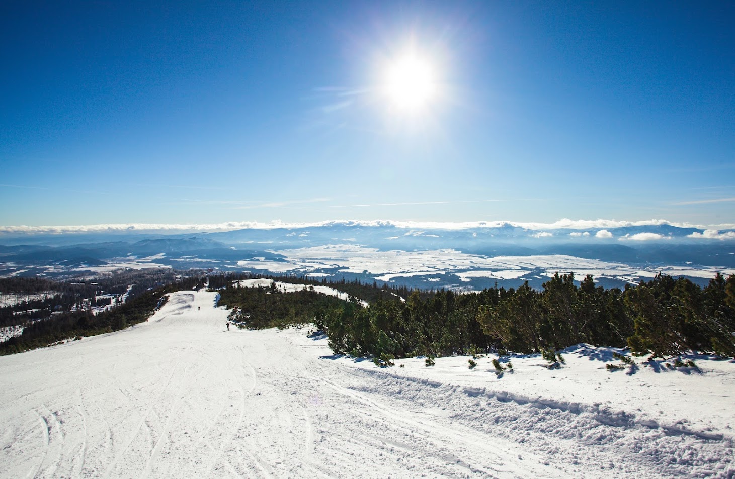 Mt Buller 설산: 멜버른에서의 눈산 등반 경험