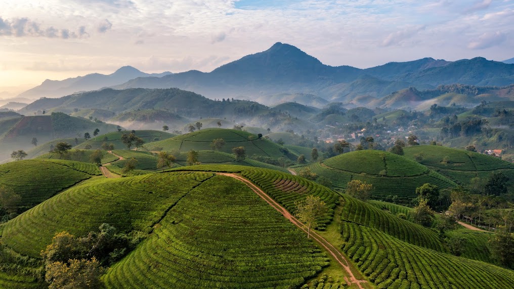 關於島玉青觀光區的詳細資訊：位置 & 門票