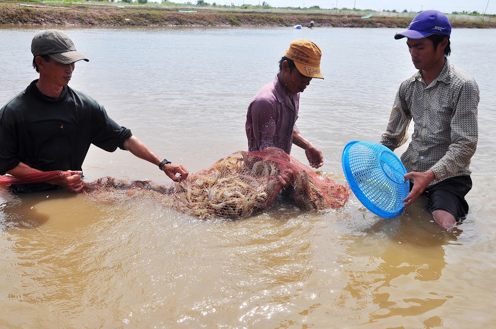 Du lịch biển Bạc Liêu mùa cao điểm cần lưu ý gì?