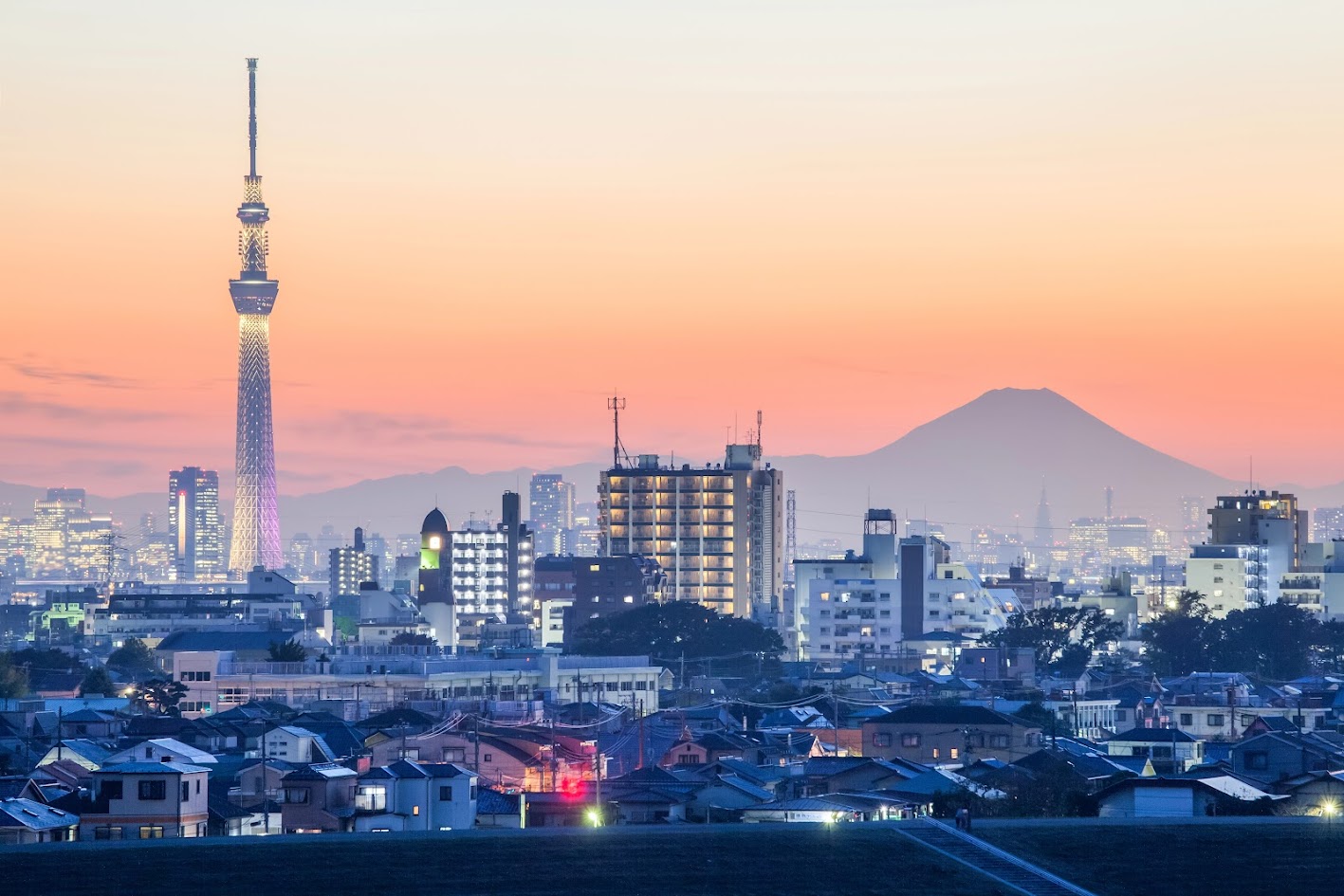 Extremely beautiful places to visit in Tokyo in the summer