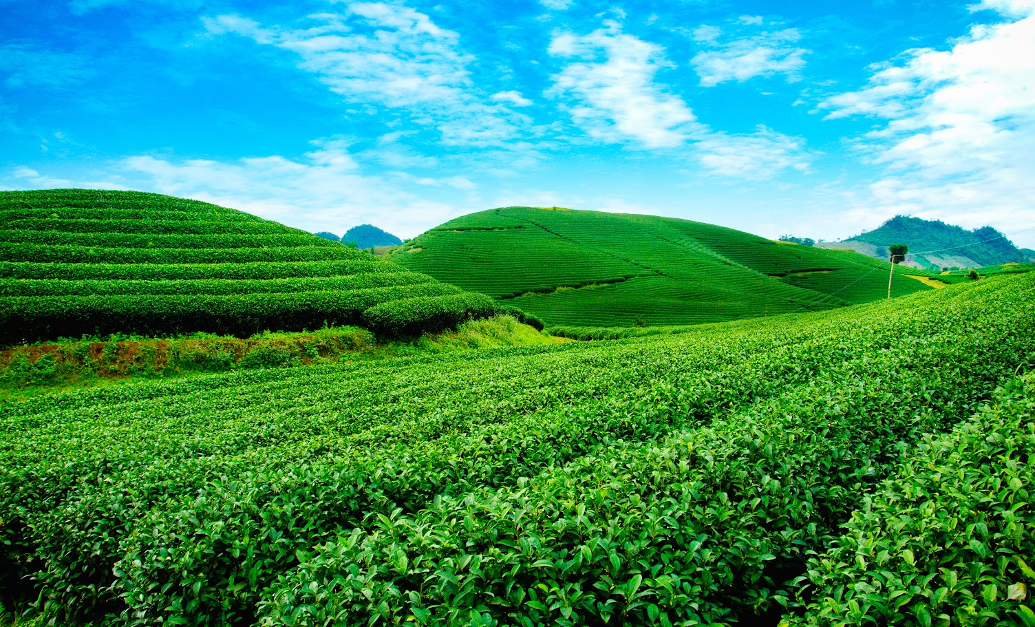 Travel tips for Suoi Giang, Yen Bai