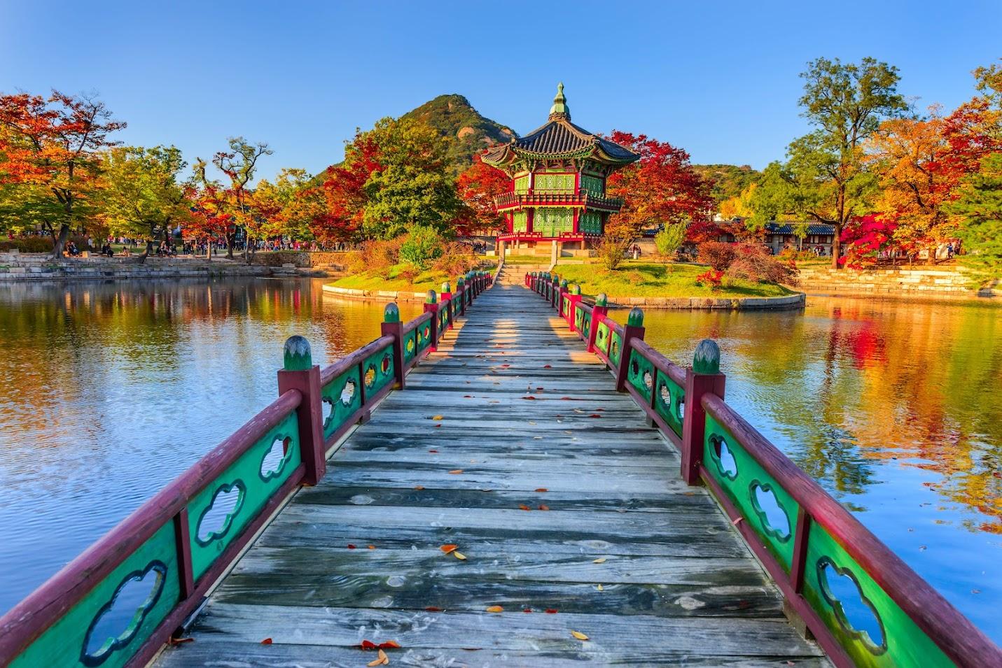 韓国の秋の紅葉を景福宮で楽しむ
