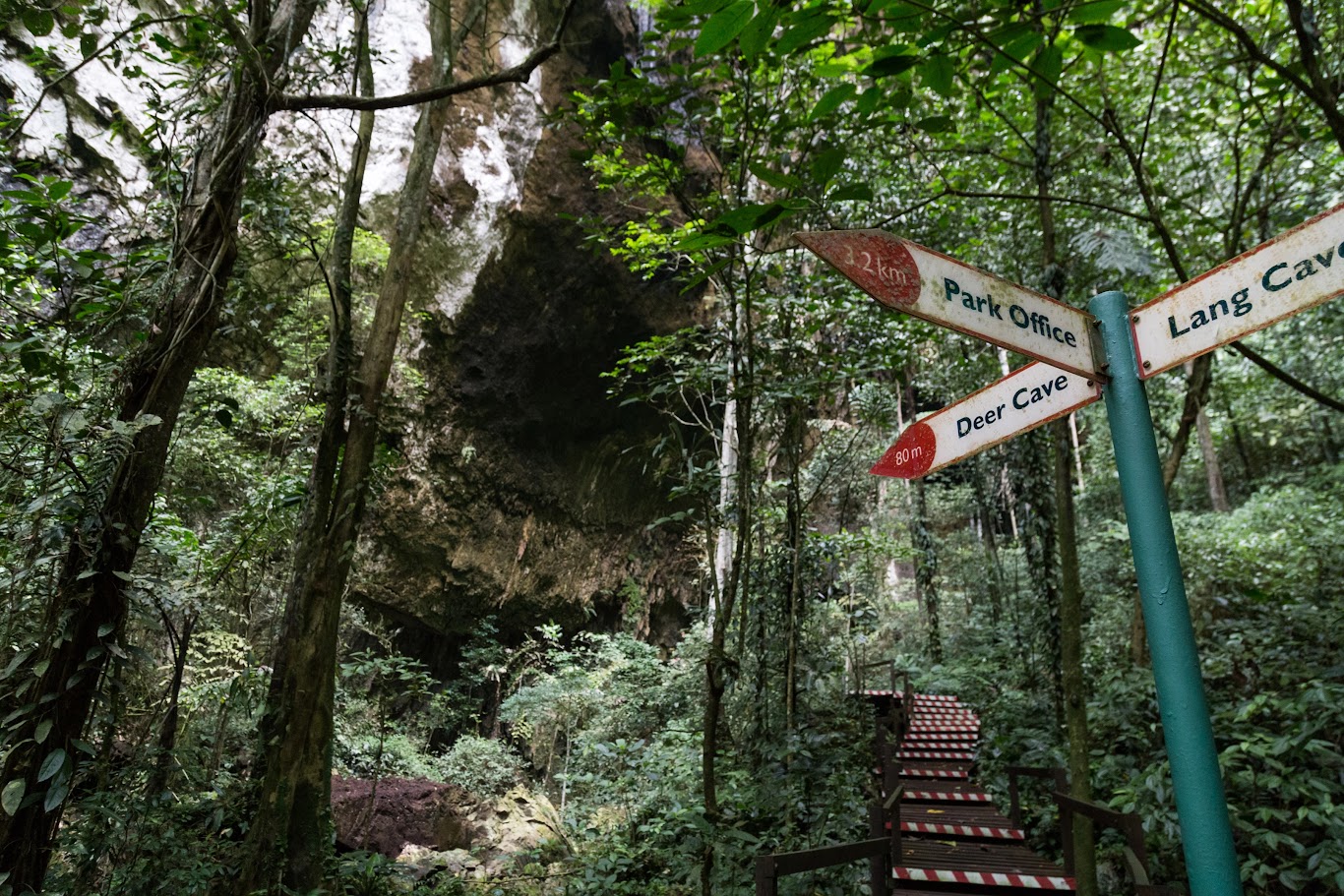 Trekking at Gunung Mulu National Park in Malaysia