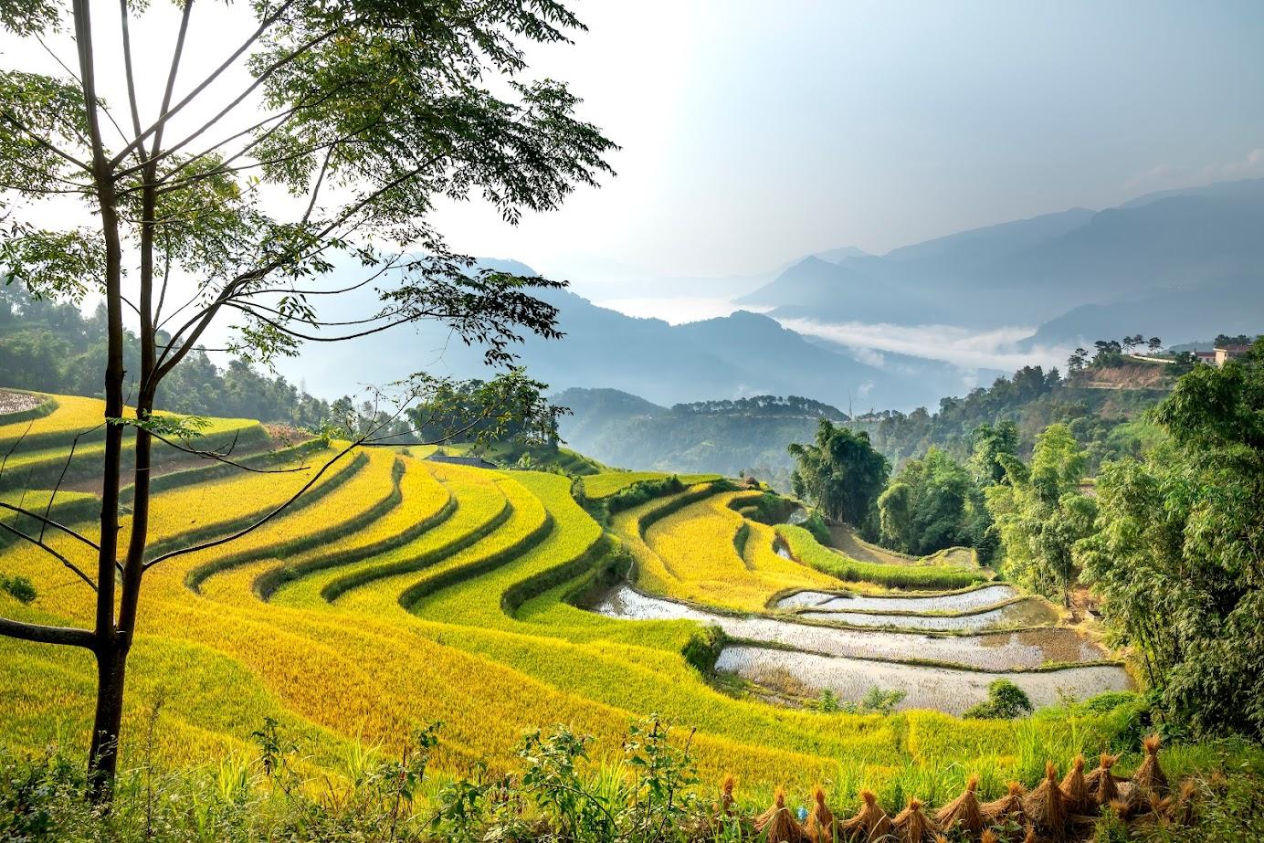 Hoang Su Phi旅游胜地