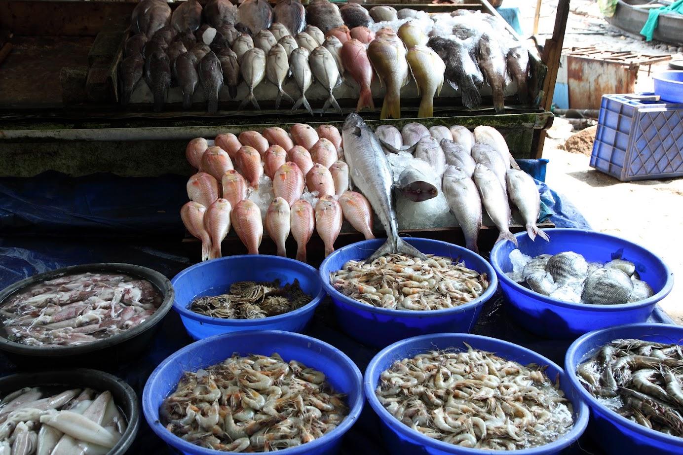 ตลาดปลาในป้อมโคจิ