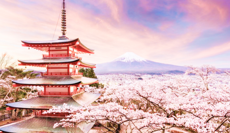 top banner
