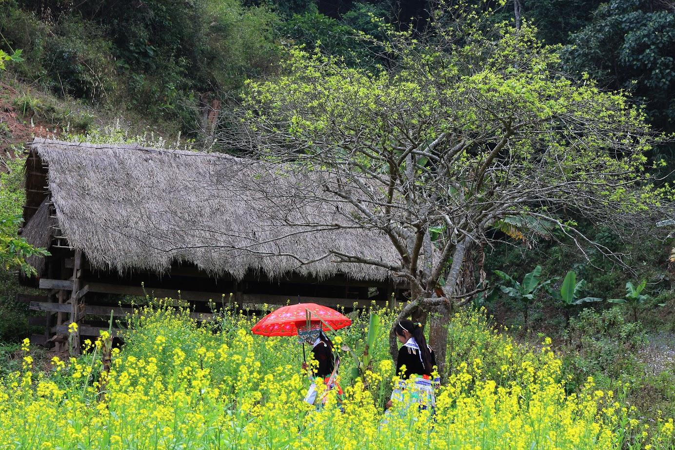 saigon dien bien flight