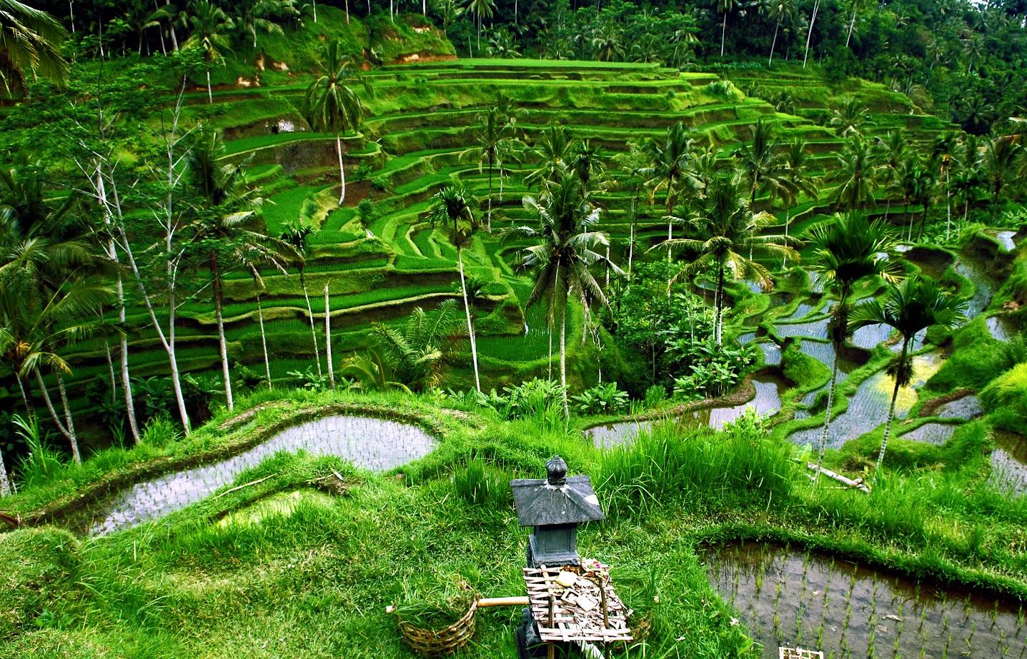 Du lịch Bali